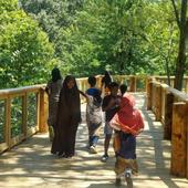 Field trip boardwalk